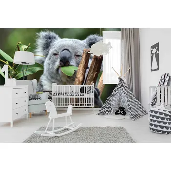 Malvis ® Tapeta Koala Vel. (šířka x výška): 216 x 140 cm