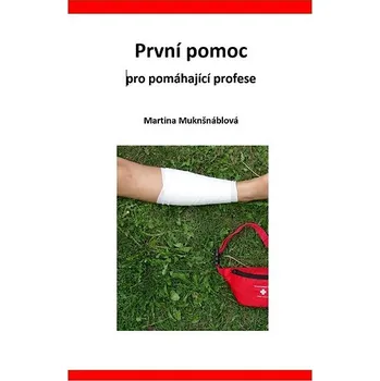 První pomoc pro pomáhající profese Ekniha