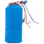 G21 Lexi 2019 6350306