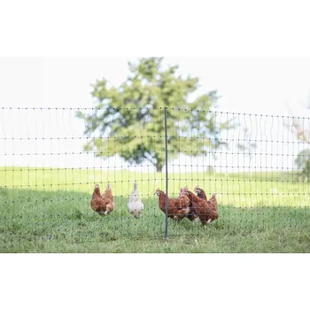 Ohradník Kerbl Nevodivá síť pro drůbež 122 cm x 50 m 1 hrot zelená