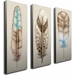 Sada obrazů Feathers 3 ks hnědá