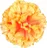 Nohel Garden Karafiát květ 9 cm, žlutý/oranžový