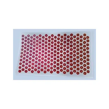 Akupresurní podložka Iplikátor 68 x 38 cm Profi D6