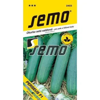 Semeno Polní okurka Perseus F1