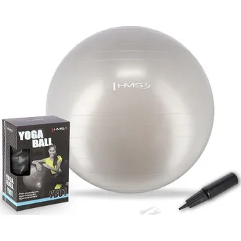 Gymnastický míč HMS Gymnastický míč HMS YB01 65 cm, šedý