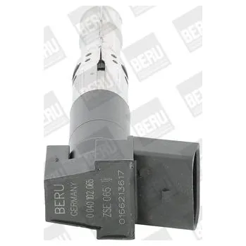 Zapalovací cívka Zapalovací cívka BorgWarner (BERU) ZSE065