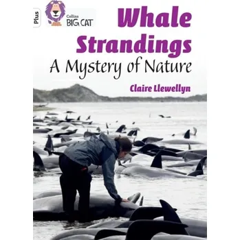 Anglický jazyk Whale Strandings: A Mystery of Nature - Claire Llewellyn