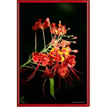 Rám na obraz Fotoobraz v hliníkovém rámu (60x80)