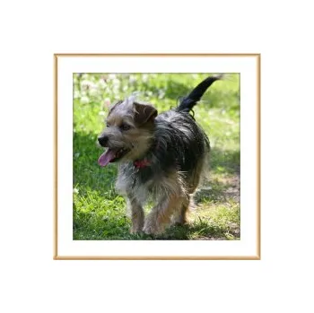 Rám na obraz Čtvercový fotoobraz v luxusním rámu s paspartou (90x90)