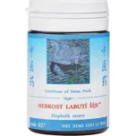 TCM Herbs 037 Hebkost labutí šíje 100 tbl.