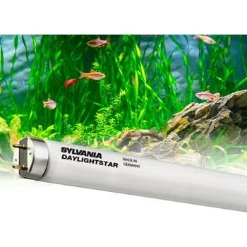 Zářivka Zářivka lineární 36W T8 Day Sylvania DaylightStar