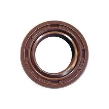 Motor pro motocykl Gufero 18x30x7 XMOTOS 250cc V4