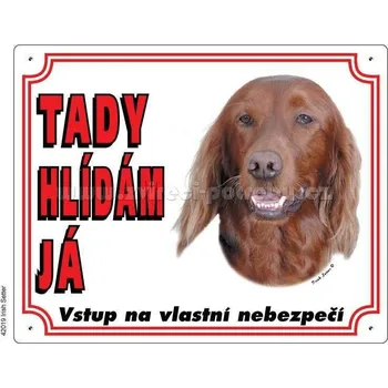 Stickers Výstražná plastová tabulka na plot Irský setr