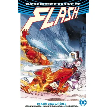 Komiks pro dospělé Flash 3: Ranaři vracejí úder (brož.)