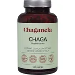 Chaganela Extrakt ze sibiřské čagy 450…