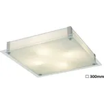 Rabalux stropní svítidlo Dena LED 12W 3038