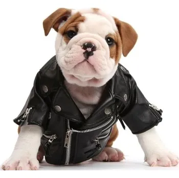 Povlak na dekorativní polštářek Povlak na polštářek Fotopolštář Boss