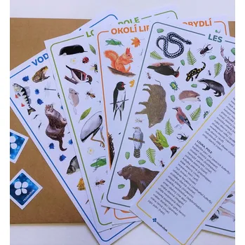 Rezekvítek A mám to !