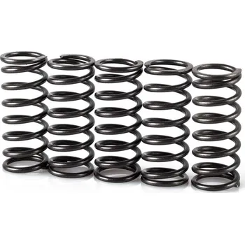 Spojková sada Pružiny spojky sada MOTION STUFF STF-501-5024