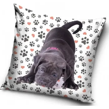 Povlak na polštářek POVLAK NA POLŠTÁŘEK ŠTĚŇÁTKO PACIČKA