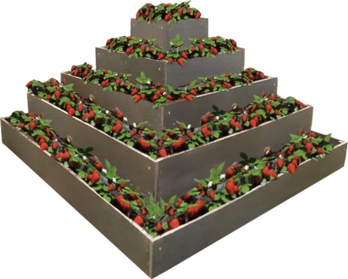 TRANSFORM Pyramida na jahody 2x2x1 m, S