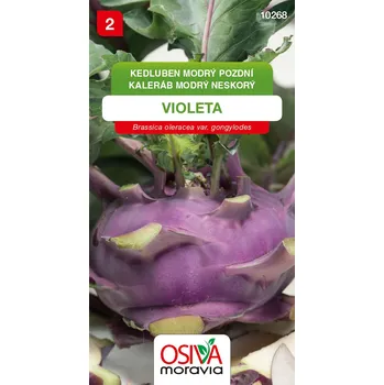 Semeno Kedluben - Violeta