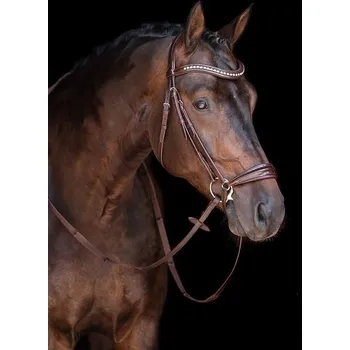 Věšák na sedlo a uzdečku HKM Uzdečka Carolin HKM, hnědá PONY