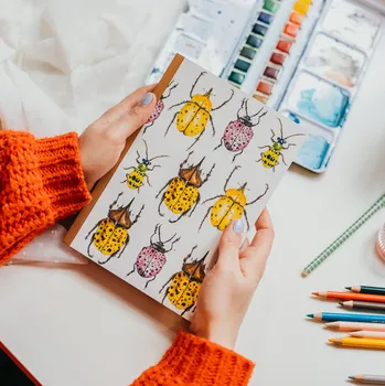 Zápisník ePipí Zápisník Brouci A5 Listy sešitu: Linky