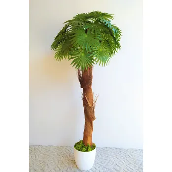 umělá květina Umělá washingtonská palma 160cm