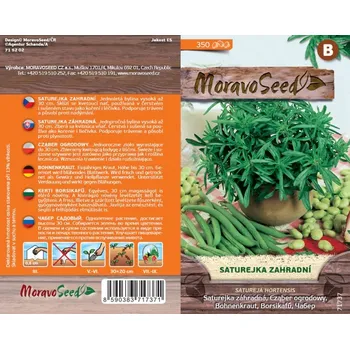 Semeno MoravoSeed Saturejka zahradní 350 ks
