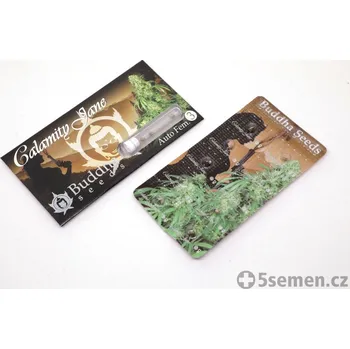 Semeno Calamity Jane Auto fem. (balení 3)