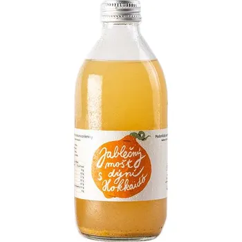 Limonáda Mošt Jablko a dýně 0,33l - karton