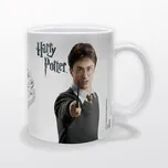 Pyramid International Harry Potter 330…