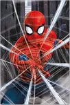Plakát Spider-Man Gotcha 61 x 91,5 cm