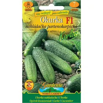 Substrát MORAVOSEED Okurka nakládačka partenokarpická KARLOS F1, semínka