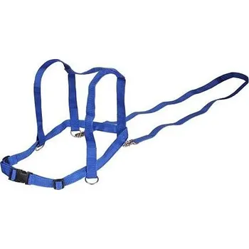 Balanční deska Merco Kid Horse koňské opratě dětská hra modrá