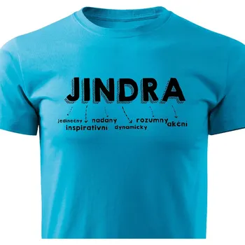 Pánské tričko Pánské tričko Jindra Barva: Tyrkysová, Velikost: XXL