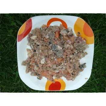 Krmivo pro psa Sokol Falco Losos mletý 1 kg