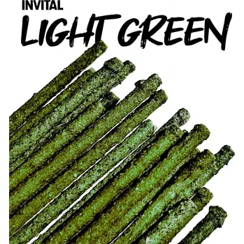 Krmivo pro rybičky INVITAL Shrimp Lollies Light Green 2 g