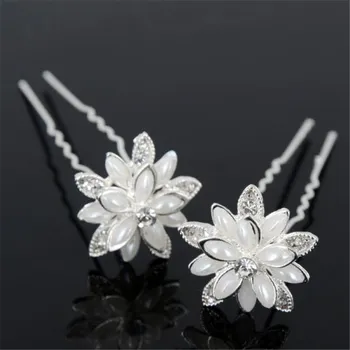 Vlásenka Star Flower