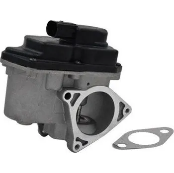 Ventil palivového systému AGR-Ventil MAGNETI MARELLI 571822112042