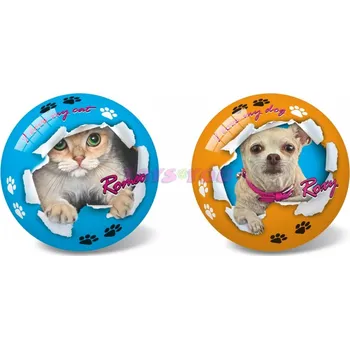 Dětský míč Míč 14 cm - Romeo - Roxy