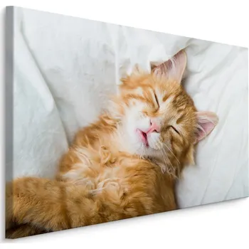 Dekorativní polštářek MyBestHome BOX Plátno Zrzavé Kotě Varianta: 30x20