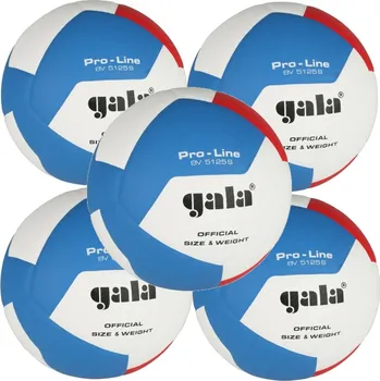 Volejbal Volejbalový míč GALA Pro Line 12 - BV5125 S - sada 5 kusů