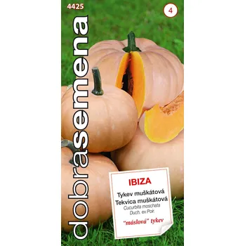 Semeno Dobrá semena Tykev muškátová Ibiza 10s 1 ks, Semena