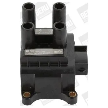 Zapalovací cívka Zapalovací cívka BorgWarner (BERU) ZS422