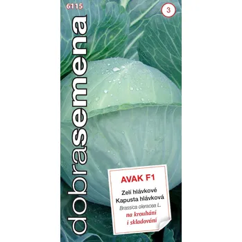 Semeno Dobrá semena Zelí kruhárenské Avak F1 30s 1 ks, Semena