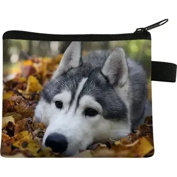 Peněženka Mini peněženka s motivem psa - 13