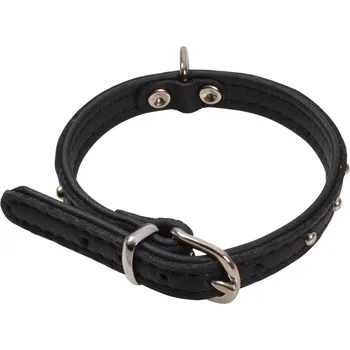 Obojek pro psa BF Kožený obojek DENYS černý Velikost: 23 až 28 cm / 14 mm