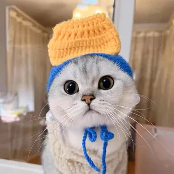 Klobouk Veselý pletený klobouk pro mazlíčky - modrý,S